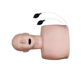 Airway management simulator