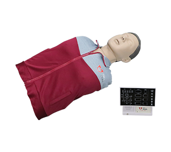 CPR Torso Angus  (advanced)