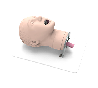 Cricothyroid membrane puncture and incision simulator