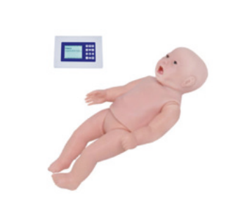 Neonatal auscultation simulator (standalone)