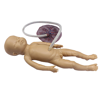 Umbilical Cord Nursing Simulator (Boy)