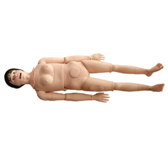 Pelvic Measurement simulator