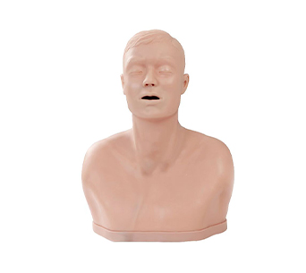 Adult tracheotomy nursing simulator