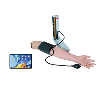 Mobile interactive blood pressure measurement training and assessment system