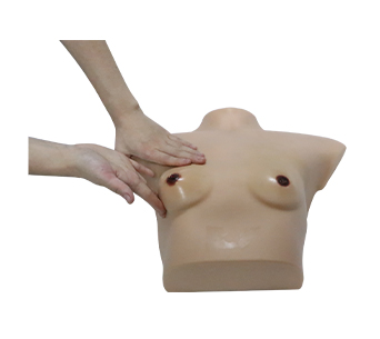 Breast cancer visual & palpation simulator