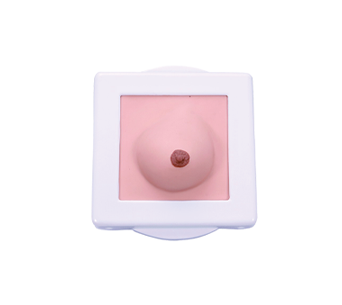 Breast examination simulator