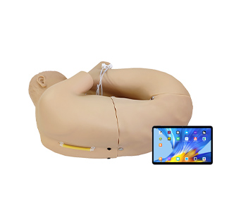 Mobile interactive lumbar puncture training and assessment system