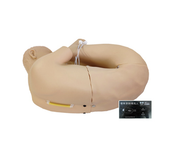 Lumbar puncture simulator (electronic)