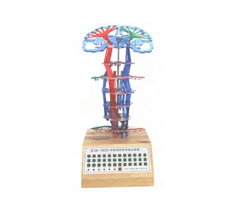 Central nervous conduction electrokinetic simulator