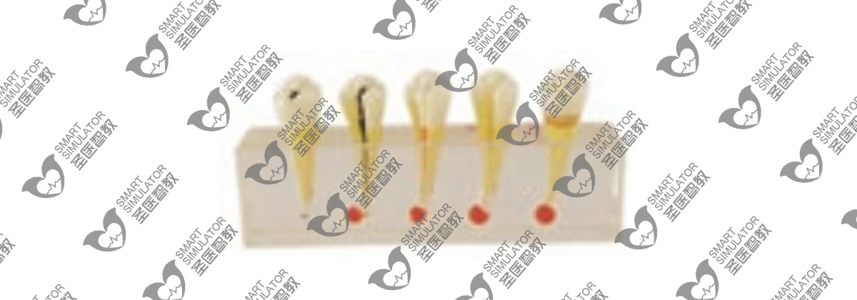 水印透明度29-恢复的-恢复的.jpg